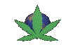 To Be Legalized
